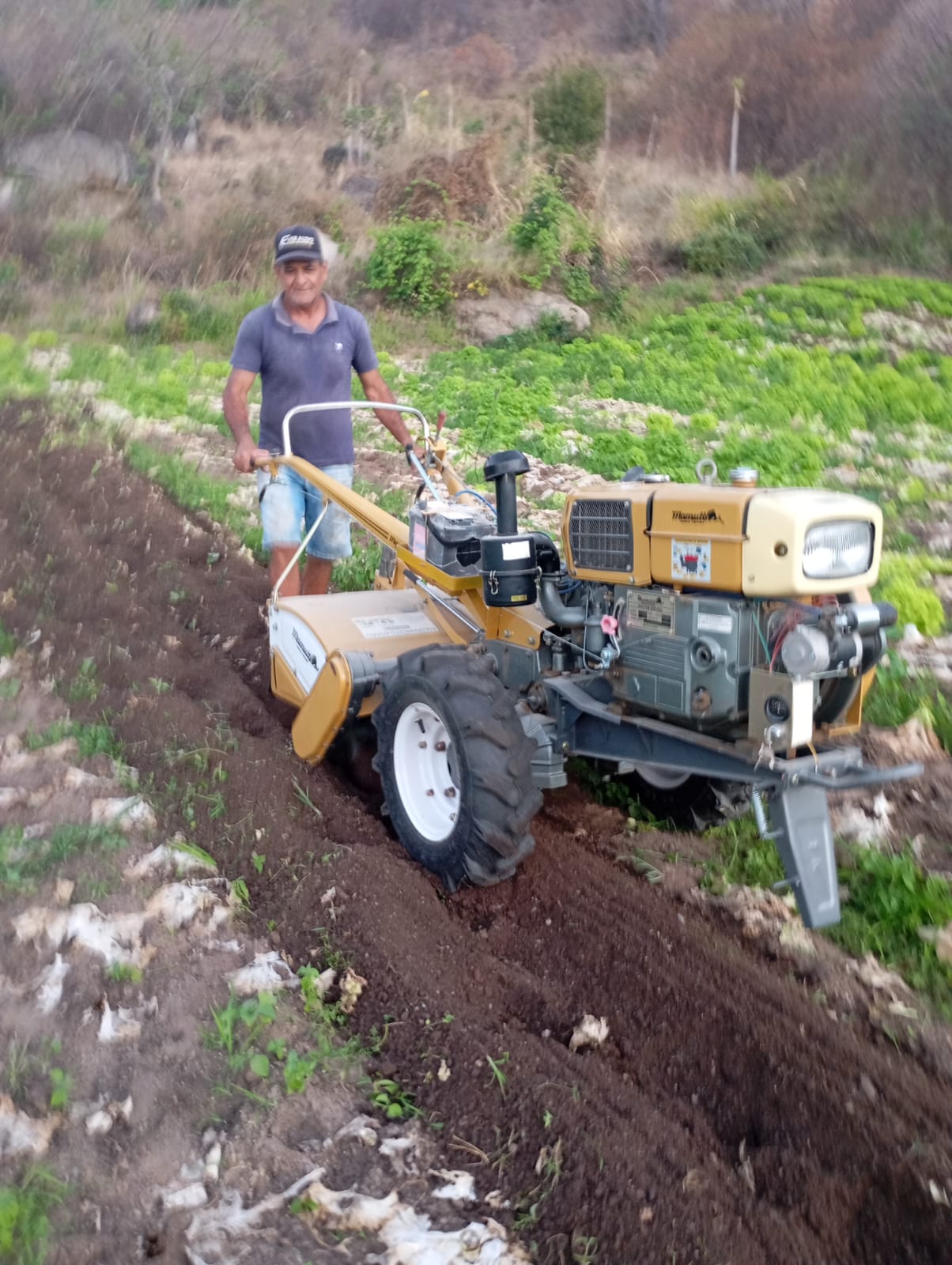 Sustentabilidade Rural