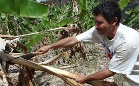 Agricultura Familiar
